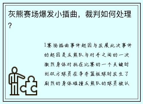 灰熊赛场爆发小插曲，裁判如何处理？